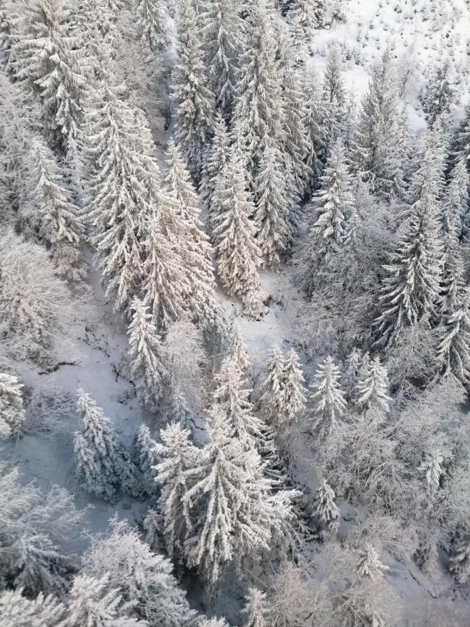 Montepart Zillertal Leilighet Hainzenberg Eksteriør bilde